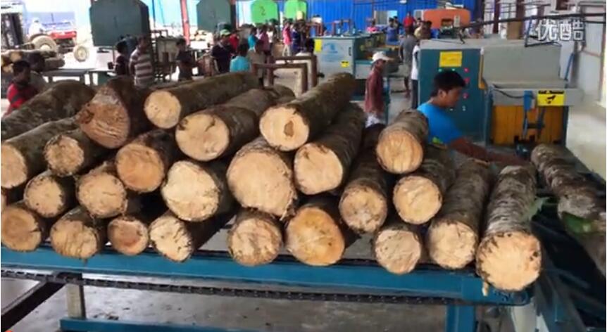 原木多片鋸 多片鋸 方木多片鋸 正啟機(jī)械廠 木工機(jī)械多片鋸