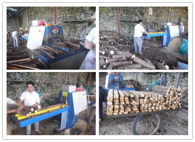 湖南汝城--原木多片鋸工作圖