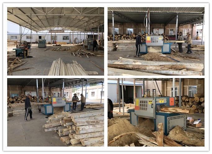 新疆哈密市--雙排鏈原木多片鋸、方木多片鋸、清邊機加工楊木現場