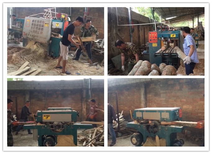 南海三亞--雙排鏈原木多片鋸、簡易板式多片鋸工作圖